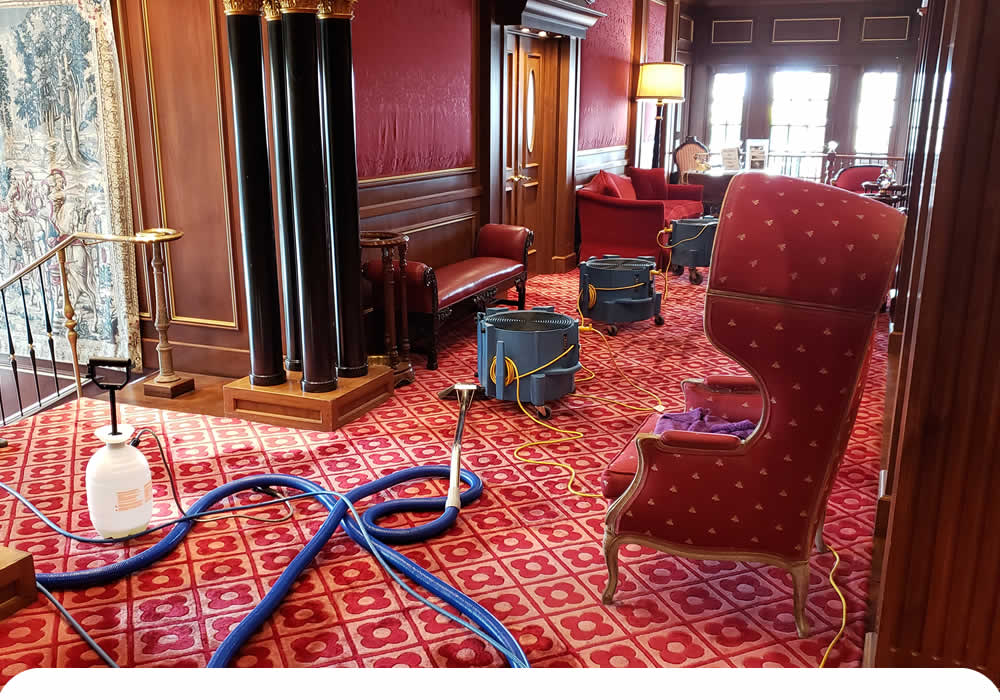 Carpet Cleaning Services CA