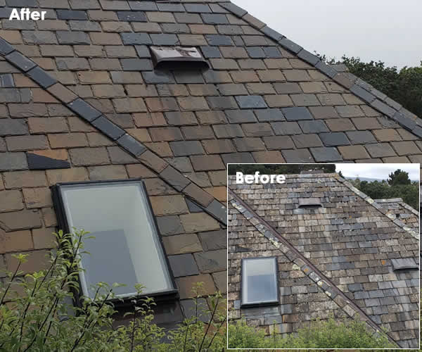 Choose Us for Roof Washing
