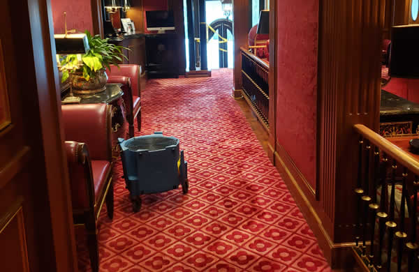 Local Carpet Cleaning Services