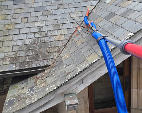 Local Gutter Cleaning Services
