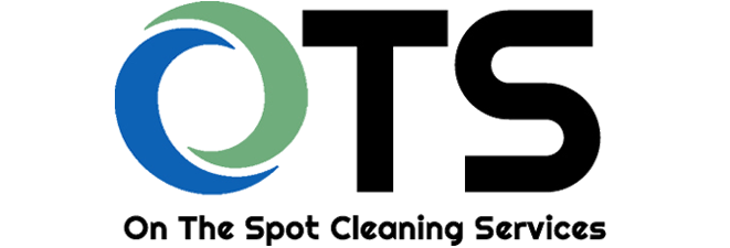 On-the-Spot Cleaning Services
