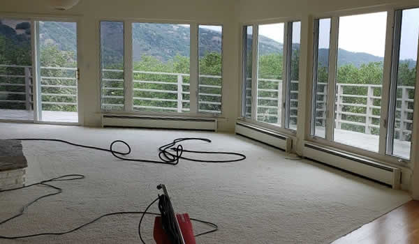 Our Carpet Cleaning Services