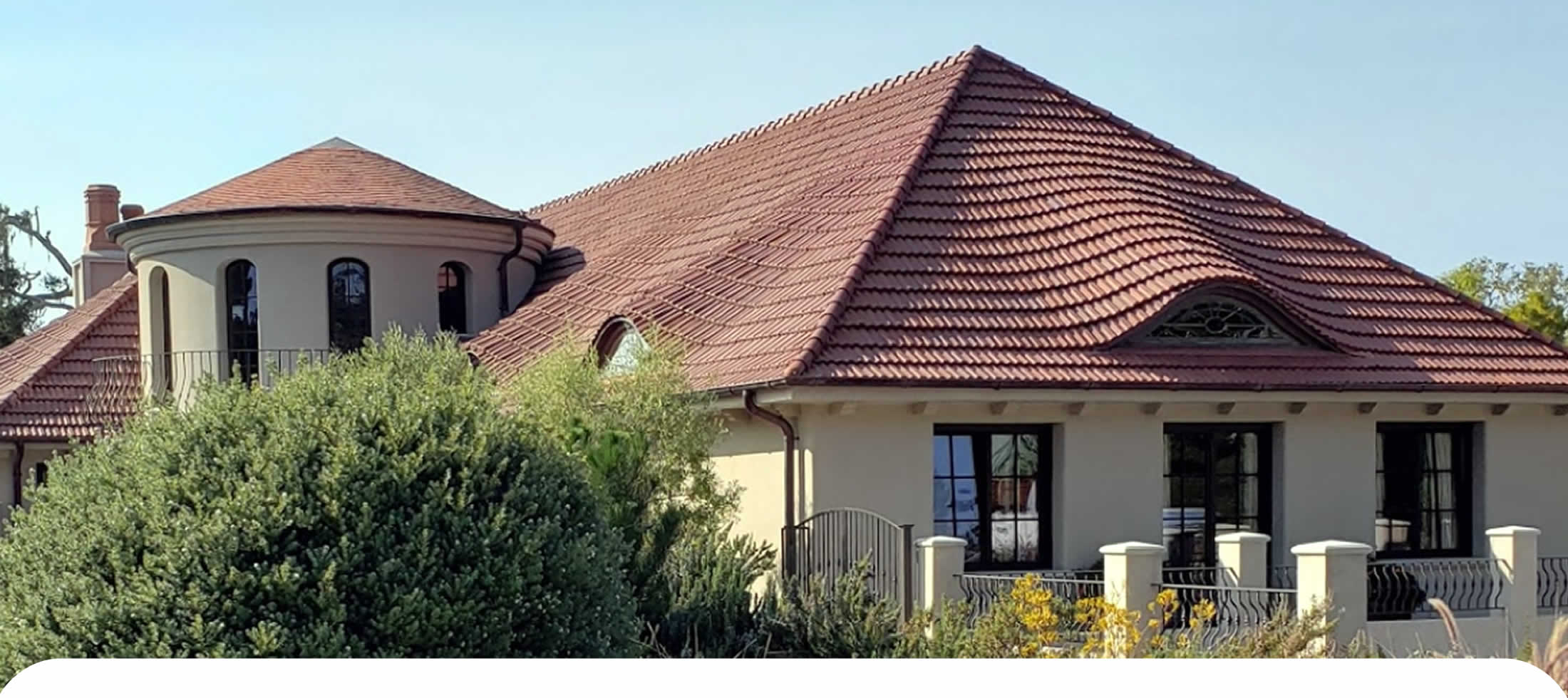 Roof Washing Services