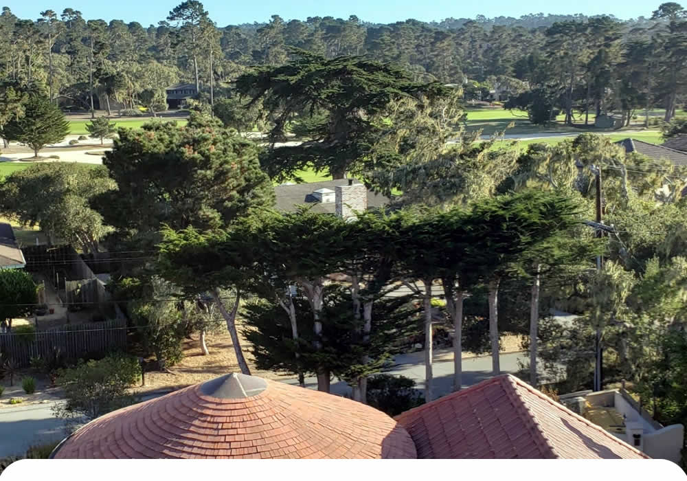 Window Cleaning Services CA
