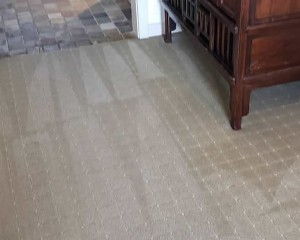 carpet-cleaning-002