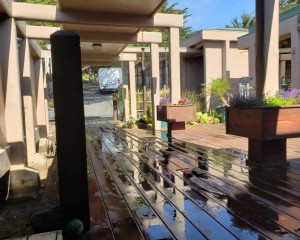 deck-cleaning-001